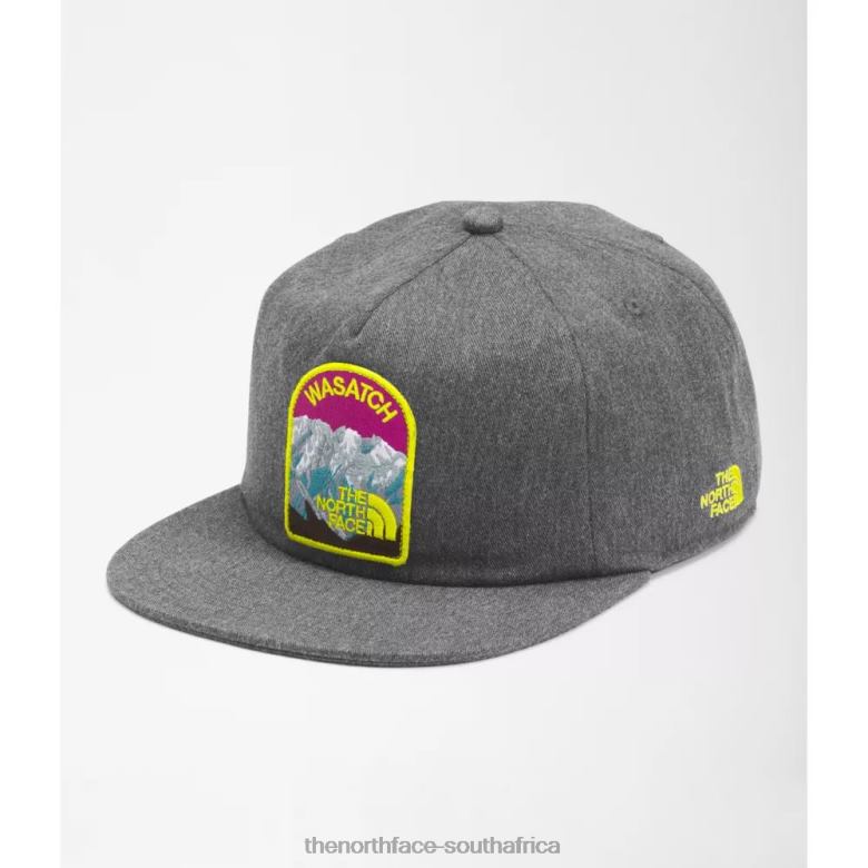 Embroidered Earthscape Ball Cap TX0863919 Grey The North Face