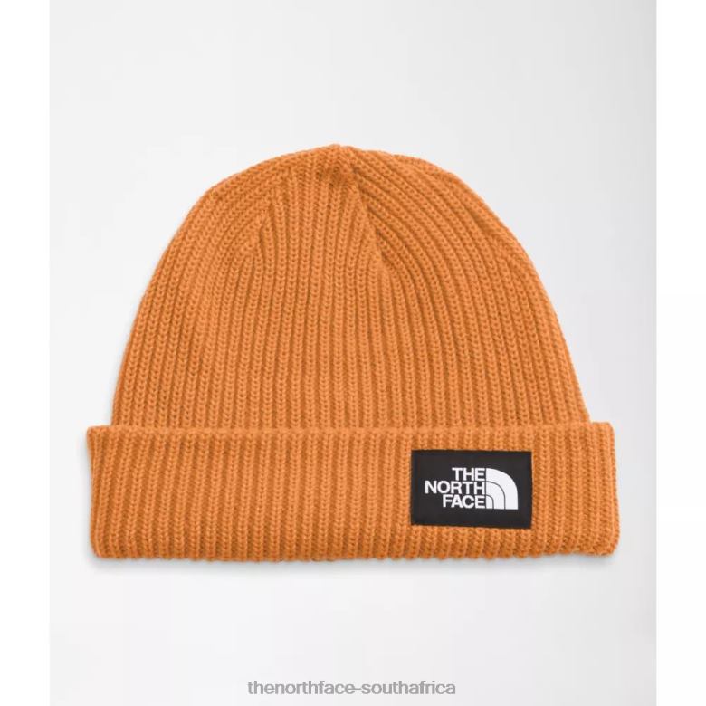 Salty Dog Beanie TX0863210 Topaz The North Face