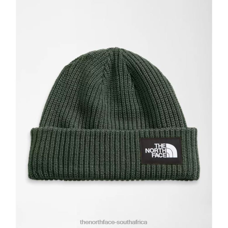 Salty Dog Beanie TX0863218 Thyme The North Face