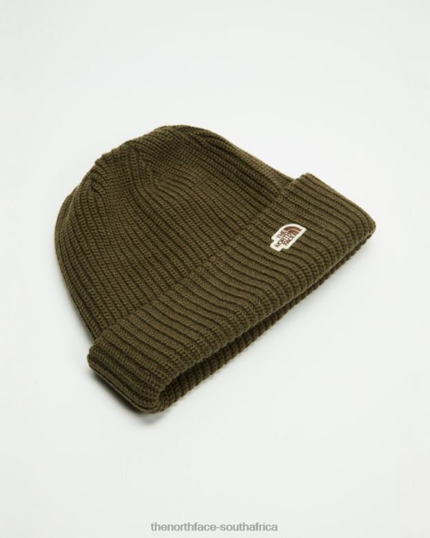 Salty Dog Beanie TX0867189 Taupe Green The North Face