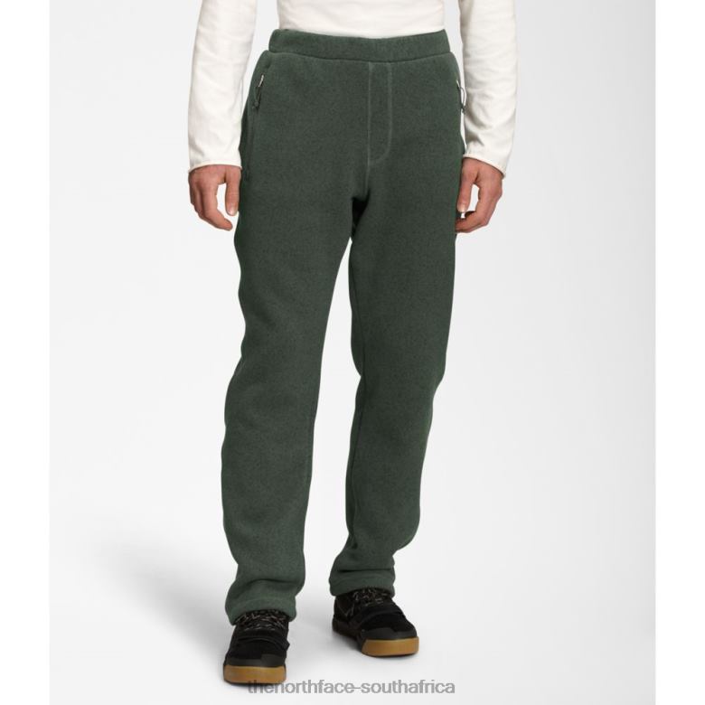 Men Gordon Lyons Pants TX0863848 Thyme Heather The North Face