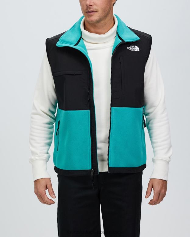 Denali 2 Vest TX0867222 Porcelain Green The North Face