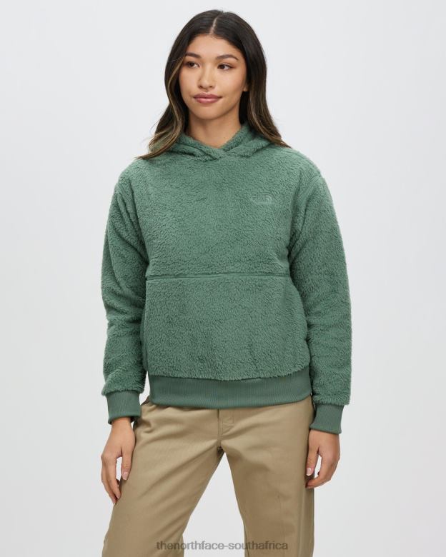 Dunraven Pullover Hoodie TX0867064 Wreath Green The North Face